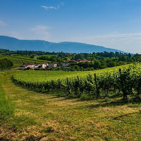 Nella Natura Del Parco Dei Colli Euganei Cinto Euganeo Exterior photo
