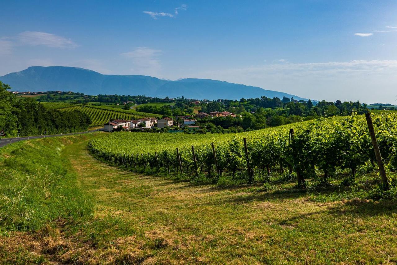 Nella Natura Del Parco Dei Colli Euganei Cinto Euganeo Exterior photo